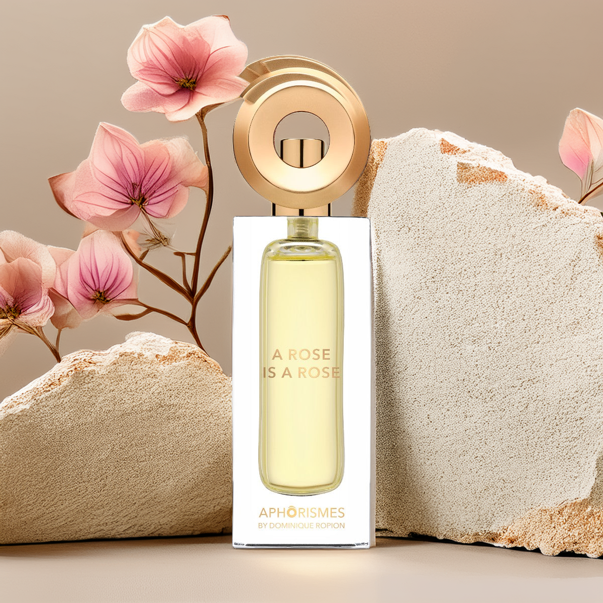 Aphorismes by Dominique Ropion – Perfume Playground