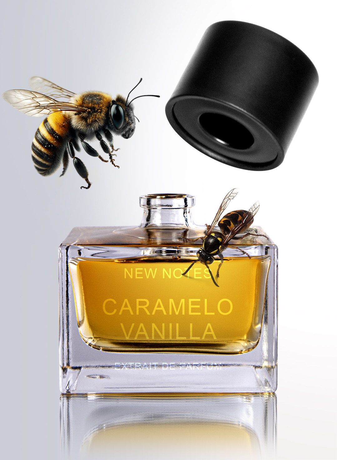 Caramelo Vanilla