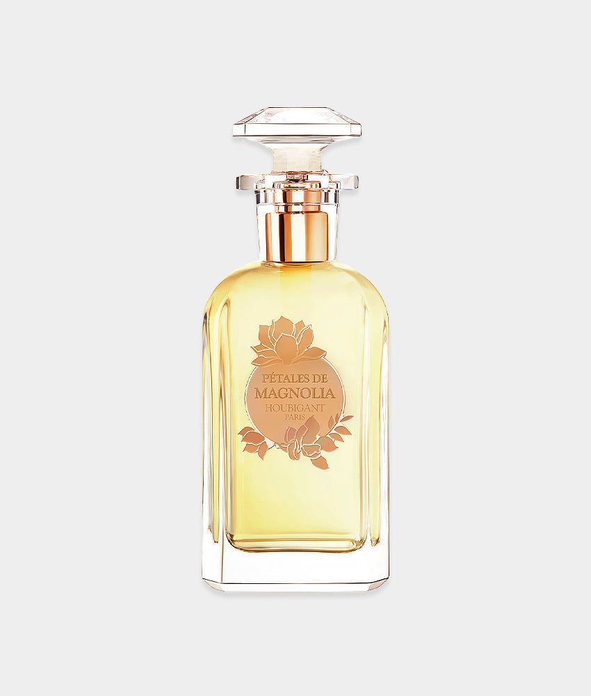 Petales des Magnolia