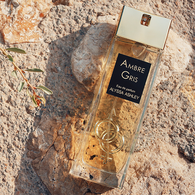 Ambre Gris