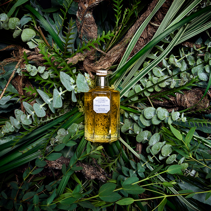 Vetiver