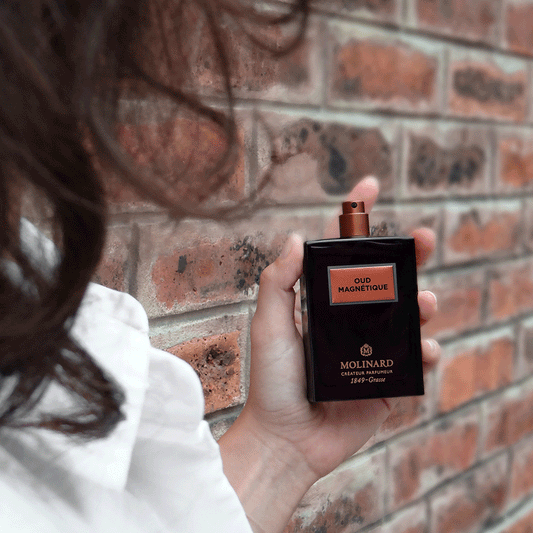 Oud Magnetique