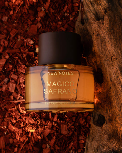 Magico Safrano